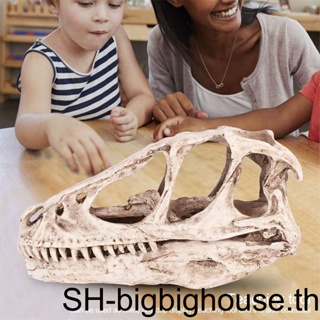 ฟิกเกอร์เรซิ่น รูปปั้นไดโนเสาร์ Dilophosaurus งานฝีมือ สําหรับตกแต่งโต๊ะทํางาน ห้องโดยสาร
