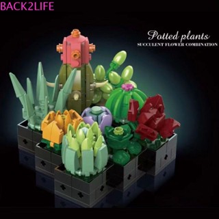 Back2life โมเดลกระถางดอกไม้ ขนาดเล็ก หลากสี ของเล่นเสริมการเรียนรู้ สําหรับเด็ก