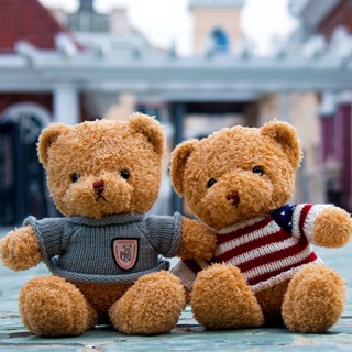 หมอนตุ๊กตาหมีเท็ดดี้ ขนาดใหญ่ เหมาะกับของขวัญวันเกิด สําหรับเด็กผู้หญิง 5DDY