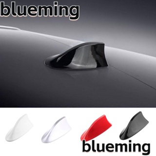Blueming2 หลังคารถยนต์ รูปครีบฉลาม