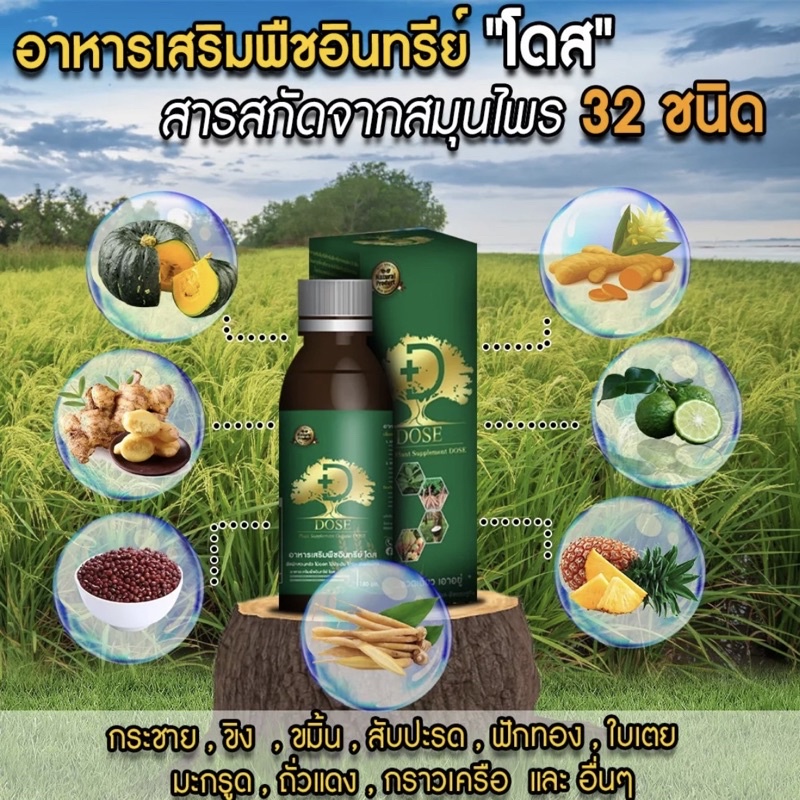 dose-แก้หน้ายางตาย-เพิ่มผลผลิต-ลดเชื้อรา-dose-โดส-ฮอร์โมนพืช-อาหารเสริมพืช-เร่งผลผลิต-เร่งดอก-เร่งนํ้ายา