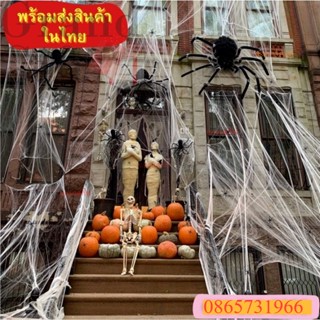 พร็อบใยเเมงมุมสยองขวัญ ของตกเเต่งบ้าน ของตกเเต่งปาร์ตี้ฮาโลวีน หยากใย่Halloween อุปกรณ์เสริมบรรยกาศหลอนๆ