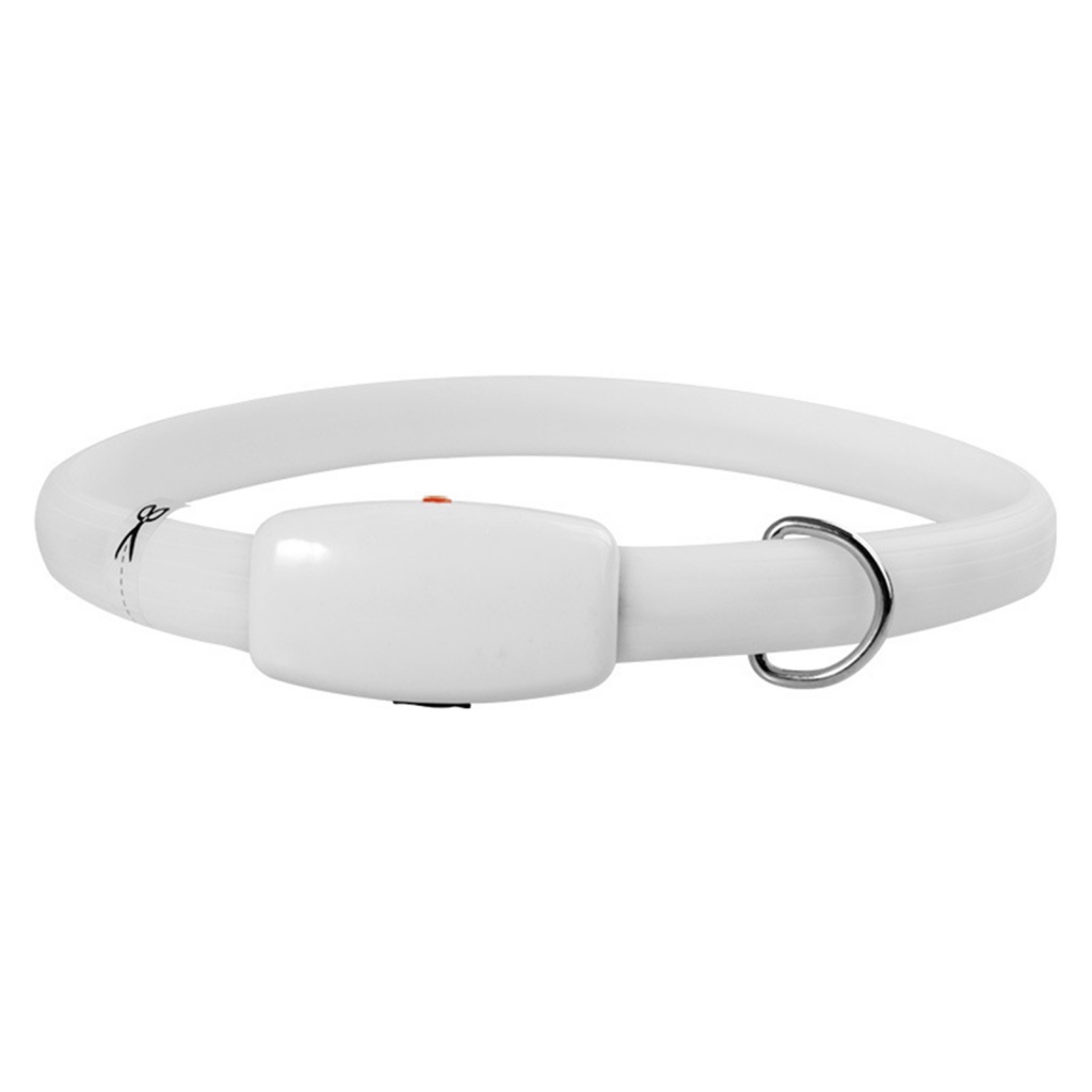 lt-citydiscount-gt-ปลอกคอสัตว์เลี้ยง-ปรับได้-น้ําหนักเบา-พร้อมไฟกระพริบ-led-กันน้ํา-ชาร์จได้-หลายโหมด