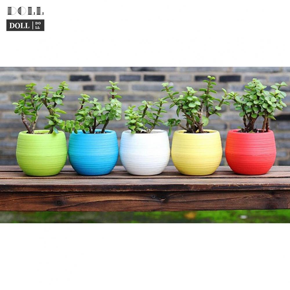 new-lovely-plastic-flowerpot-with-lazy-water-absorption-ideal-for-home-garden-office