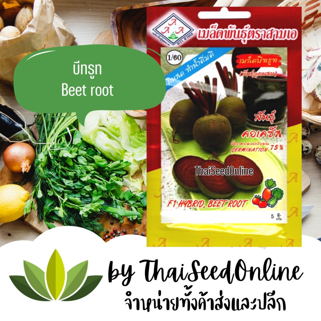 3A(สามเอ) 3A เมล็ดพันธุ์ บีทรูท 5 กรัม ตราสามเอ Beet Root | Shopee Thailand