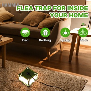 HAMMIA 2PCS Fly Light TRAP ทางกายภาพจับสัตว์เลี้ยงและเด็กที่เป็นมิตรไฟฟ้า สำหรับ Home