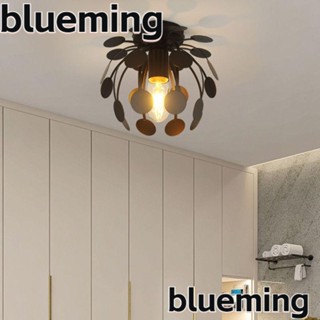 Blueming2 โคมไฟเพดาน ห้องครัว สําหรับห้องนอน โคมไฟระย้า เหล็ก สีดํา