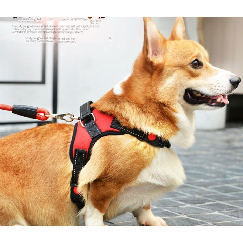 สายจูงสุนัข-สายรัดหน้าอก-แบบเสื้อกั๊ก-เชือกจูงสุนัข-ป้องกันการแตกหัก-ฟรีเชือกจูงสุนัข