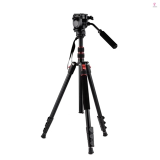 Andoer Aluminum Camera Tripod Stand Monopod 200cm/78.7inch 8KG Payload for DSLR SLR Camera Travel