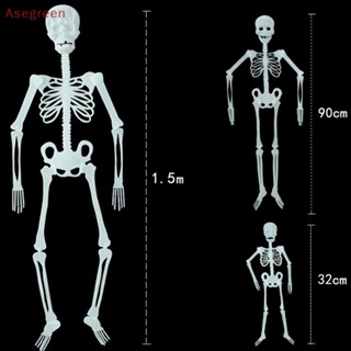 [Asegreen] โครงกระดูกมนุษย์ 32 90 150 ซม. สําหรับตกแต่งปาร์ตี้ฮาโลวีน