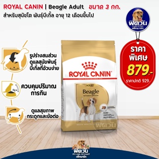 ROYAL CANIN- Beagle Adult สุนัข1-6ปี ขนาด 3 กก.