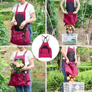HAMMIA Harvest Bag ผ้ากันเปื้อนเก็บผลไม้ผ้า Oxford ความจุขนาดใหญ่ Quick Release Garden Pouch สำหรับ Orchard Farm
