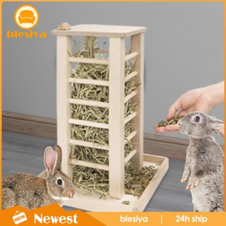 [Blesiya] เครื่องให้อาหารกระต่าย แบบไม้