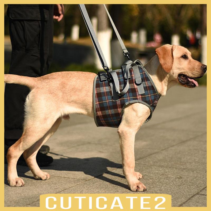 cuticate2-เข็มขัดพยุงขาหลัง-ระบายอากาศ-ขนาดใหญ่-สําหรับสุนัขสูงอายุ