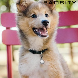 [Baosity] ปลอกคอกระดิ่ง ขนาดเล็ก สําหรับสัตว์เลี้ยง สุนัข แมว 10 ชิ้น