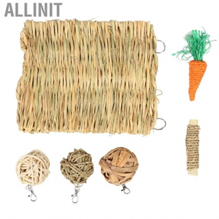 Allinit Hamster Chew  Set Grass Mat Ball Chewing Safe  Grinding Facilitate Digestion Bite Resistant for Guinea Pig
