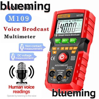 Blueming2 เครื่องมัลติมิเตอร์ดิจิทัล 4000 Count AC DC True RMS ANENG M109