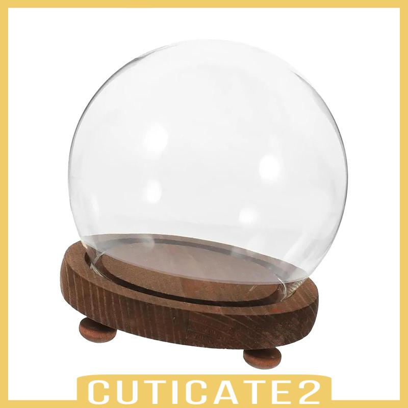 cuticate2-ฐานไม้เปล่า-แบบใส-สําหรับตกแต่งบ้าน-ห้องนั่งเล่น