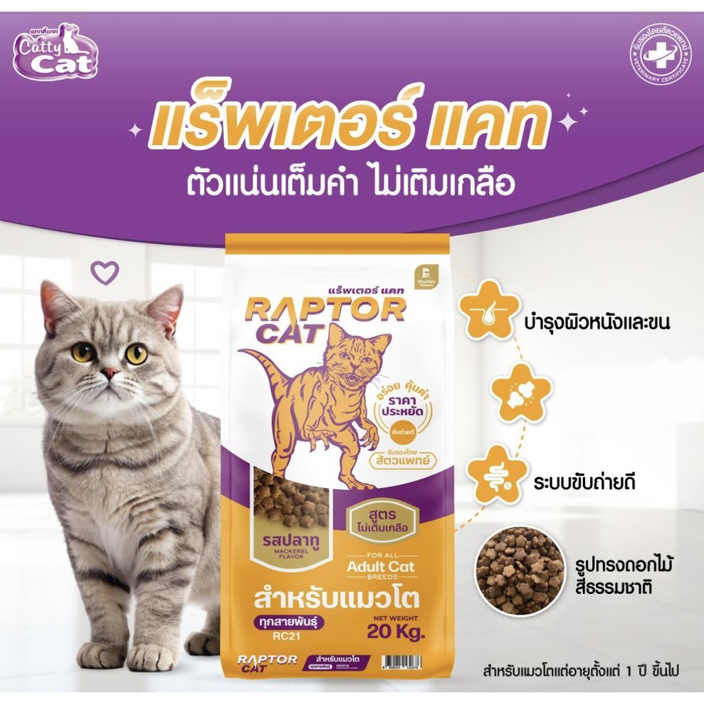 แพ็คเกจใหม่ [[ขนาด 20 กิโล]]n อาหารแมว RAPTOR CAT โปรตีน 26% ไม่เติม ...