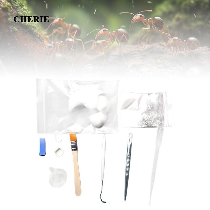 [Chery] ANT Care Kit พร้อมเครื่องมือ ANT Breeding Tool มัลติฟังก์ชั่น ...