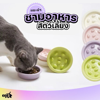 🔔ชามเซรามิกอาหารช้า | ป้องกันสำลัก-แมวสุนัข | ล้างง่าย+หลายขนาด (เหมาะฐานส่วนใหญ่ แนะนำขนาด S แมว/M-L สุนัข)