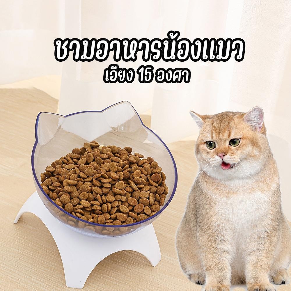 ชามใส่อาหารแมว ชามให้อาหารสุนัข