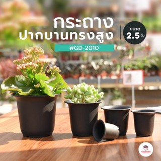 ( GD - 2010 ) กระถาง 2.5 นิ้ว ปากบานทรงสูง กระถางแคคตัส กระถางกระบองเพชร กระถางพลาสติก