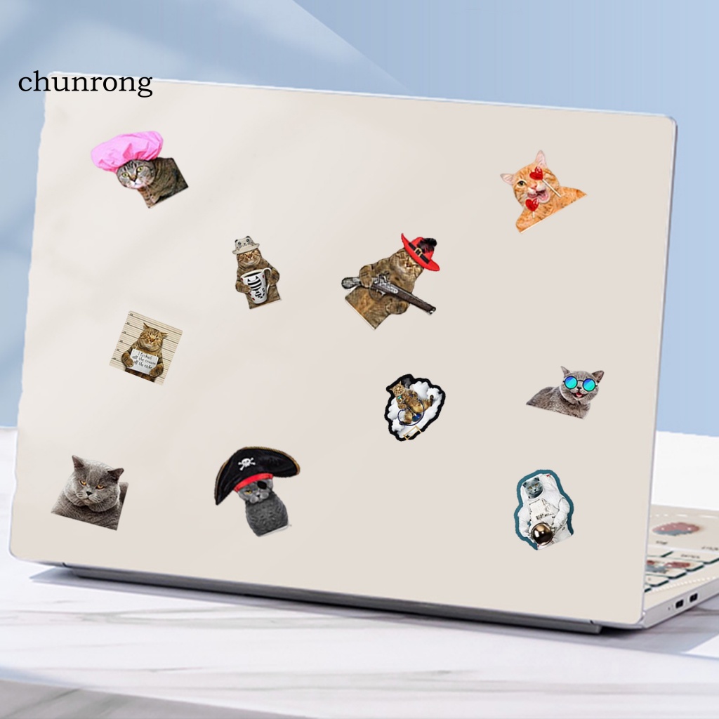 chunrong-สติกเกอร์-ลายแมว-มีกาวในตัว-สําหรับติดตกแต่งโทรศัพท์มือถือ-ขวดน้ํา-แล็ปท็อป-รถยนต์-1-ชุด