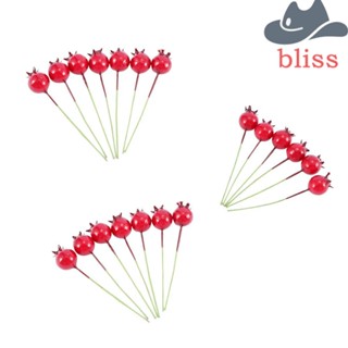 Bliss ผลไม้ประดิษฐ์ 20 ชิ้น ตกแต่งคริสต์มาส ตกแต่งบ้าน พร้อมเบอร์รี่จําลองผัก เชอร์รี่