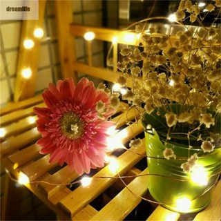 【DREAMLIFE】5V USB LED Light String Rice Wire Copper String Fairy Lights Party Decor Gift