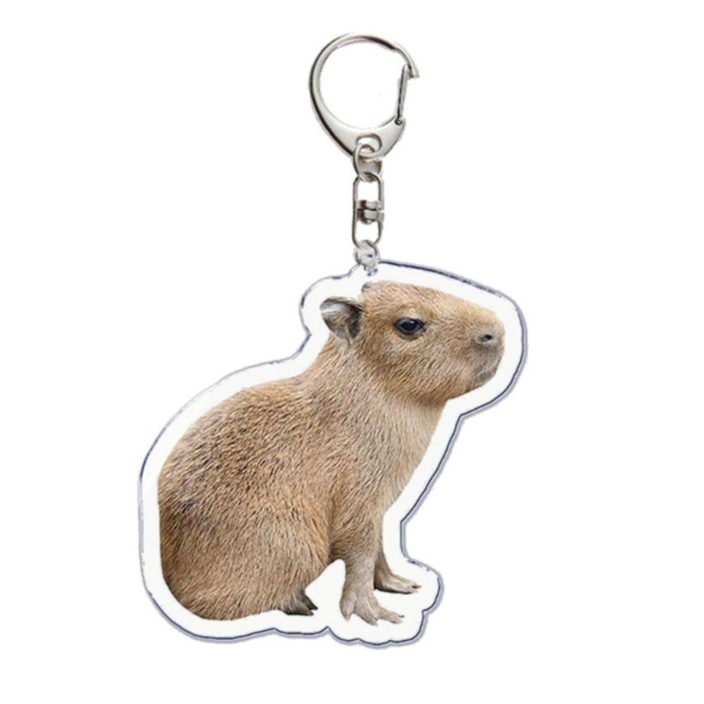 dwayne-พวงกุญแจอะคริลิคเรซิ่น-รูปการ์ตูนสัตว์-capybaras-น่ารัก-ตลก-สําหรับเป็นของขวัญ