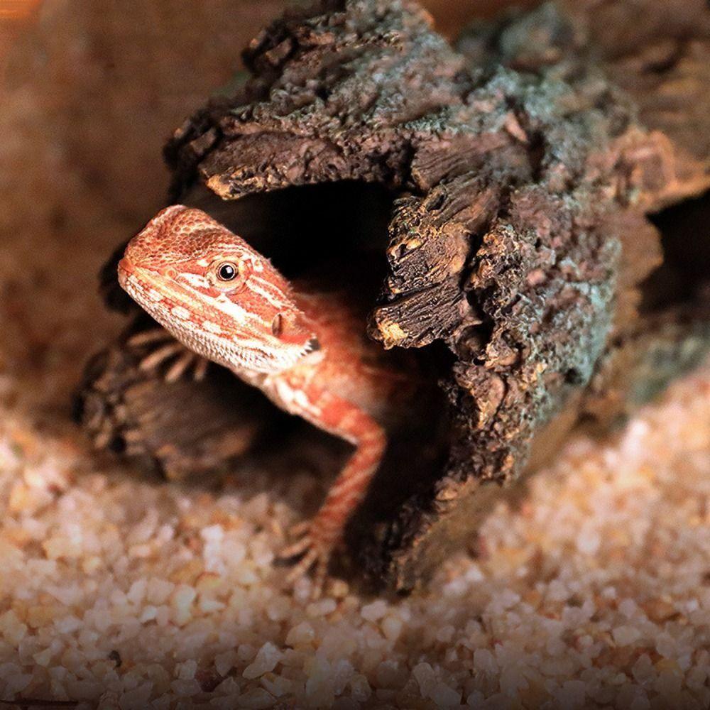 TYLER เต่าปีนเขาแพลตฟอร์ม, Tree Bark เรซิ่น Lizard Hideout Cave ...