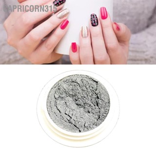 Capricorn315 Mirror Effect Nail Powder Electroplating Metallic Pigment สำหรับตกแต่งเล็บ