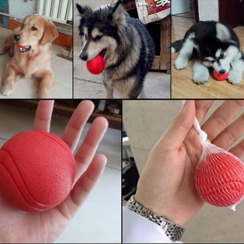 doggerd-ลูกบอลเด้งกลับ-กัดฟัน-เพื่อบรรเทาความเบื่อหน่าย-สําหรับฝึกสัตว์เลี้ยง-สุนัข