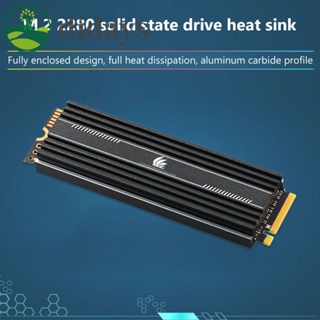 ฮีทซิงค์ระบายความร้อน M.2 SSD - M.2 2280 Solid State Hard Disk Radiator พร้อมแผ่นความร้อน