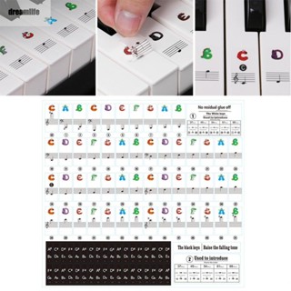 【DREAMLIFE】Durable For Adults And Childrens Lessons High Quality Keyboard Stickers