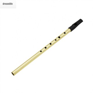 【DREAMLIFE】Beginner Friendly D Key Irish Feadog Tin Whistle Flute for Learning Music