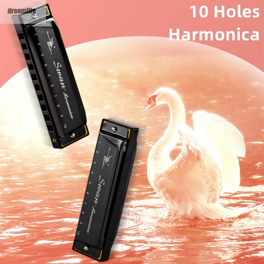 dreamlife-harmonica-20-tone-beginners-brass-diatonic-gift-key-of-c-kids-mouth-organ