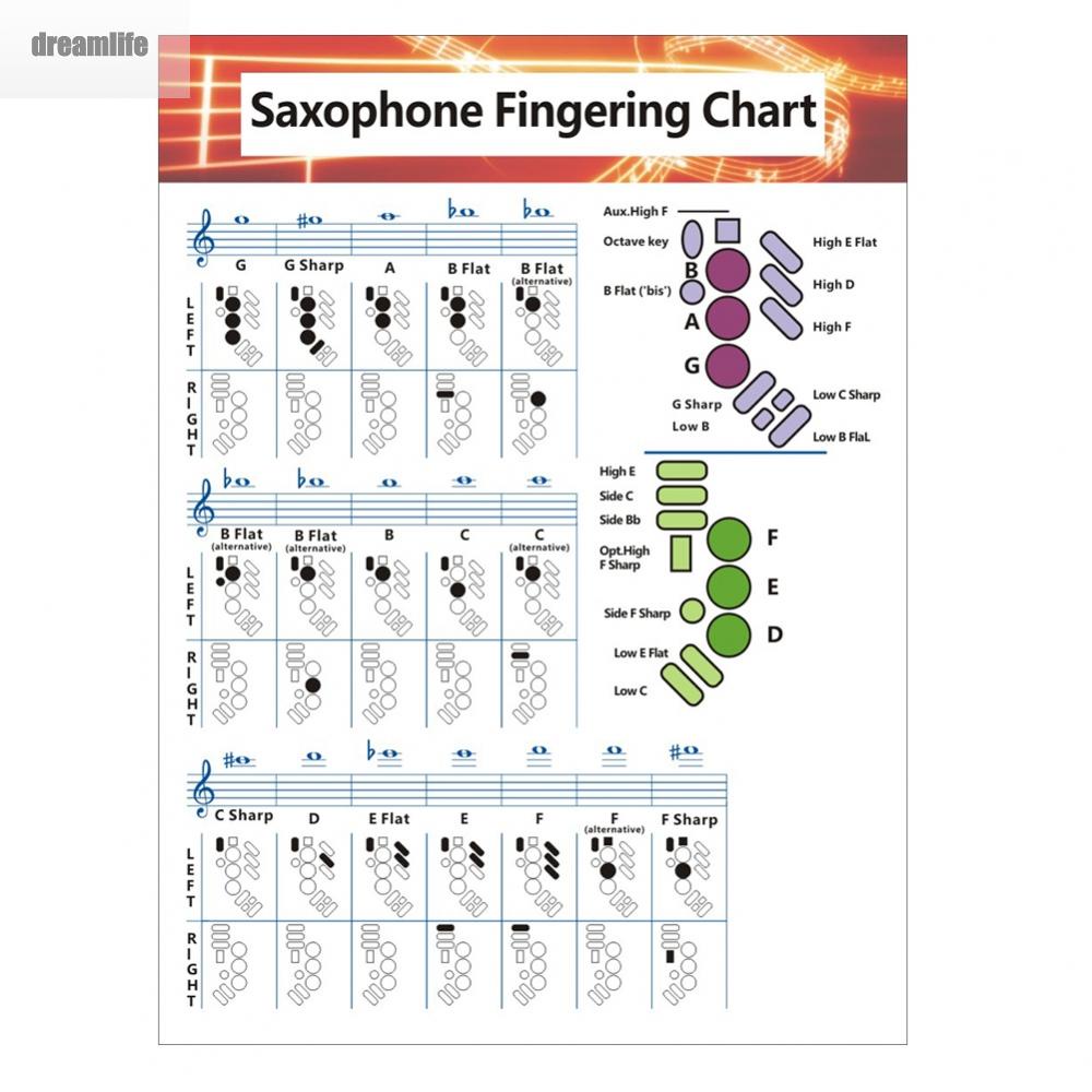 dreamlife-fingering-chart-coated-paper-comparison-exercise-fingerings-guide-part