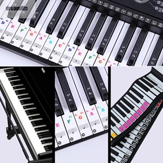 【DREAMLIFE】37*11mm Transparent Clear Digital Keyboard Removable Reusable Piano Stickers
