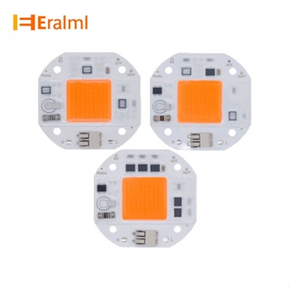 Eralml ชิปไฟ LED COB พลังงานสูง 220V 110V 50W 70w 100W สําหรับไฟฟลัดไลท์ กลางแจ้ง DIY