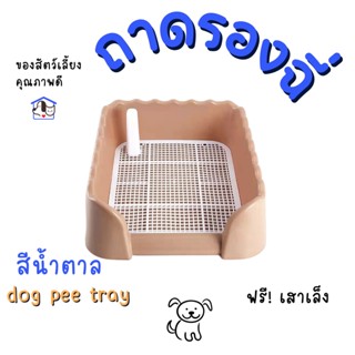 ห้องน้ำสุนัข ห้องน้ำน้องหมา ถาดรองฉี่ ฝึกขับถ่ายเป็นที่