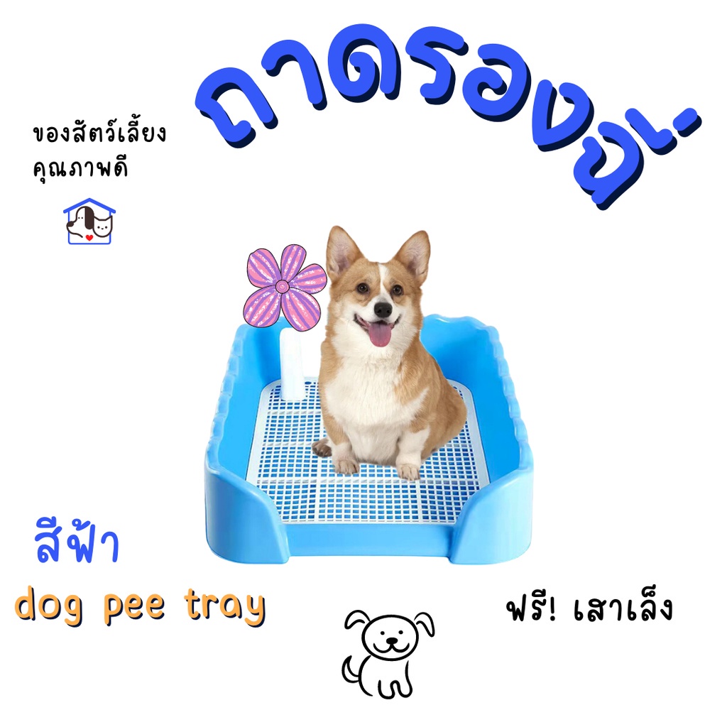 ห้องน้ำสุนัข-ห้องน้ำน้องหมา-ถาดรองฉี่-ฝึกขับถ่ายเป็นที่