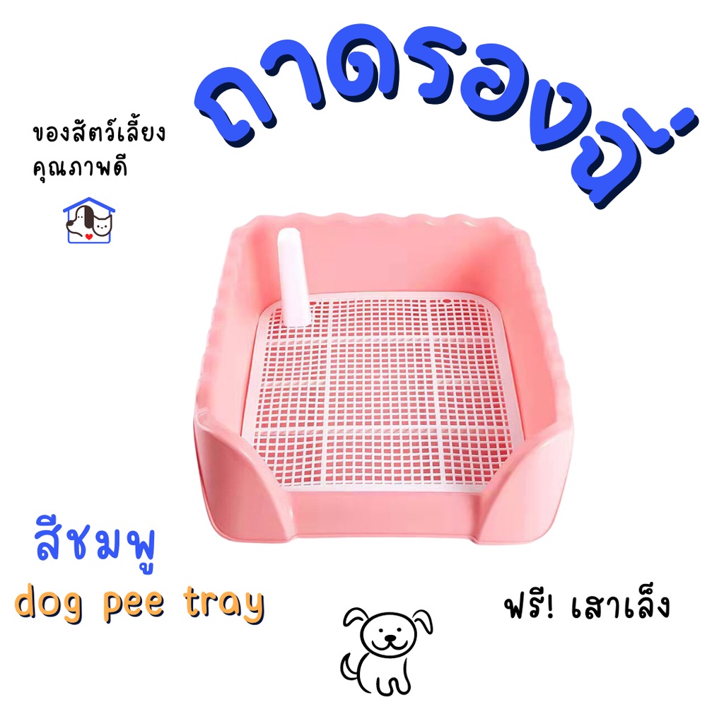 ห้องน้ำสุนัข-ห้องน้ำน้องหมา-ถาดรองฉี่-ฝึกขับถ่ายเป็นที่