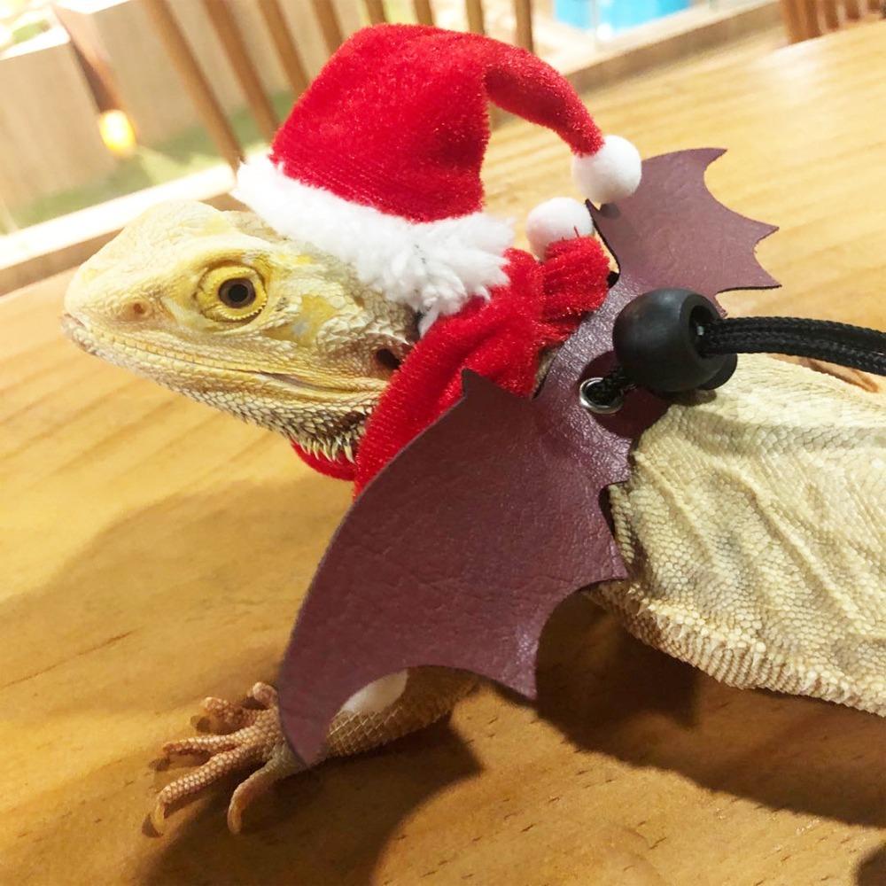 ARETS Lizard Santa Hat, โพลีเอสเตอร์ระบายอากาศหมวกสัตว์เลื้อยคลาน,ตลก ...