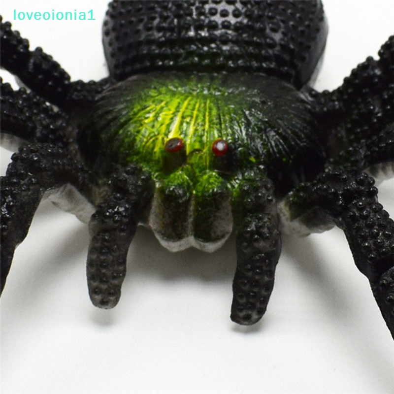 loveoionia1-แมงมุมจําลอง-แมงมุม-แมลง-ของเล่น-หลอก-น่ากลัว-ของเล่นฮาโลวีน-ของเล่นเด็ก-br