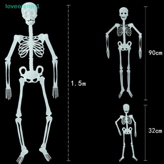 Loveoionia1 โครงกระดูกมนุษย์ 32 90 150 ซม. สําหรับตกแต่งปาร์ตี้ฮาโลวีน