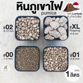 ⛰🌵 หินภูเขาไฟ วัสดุปลูกแคคตัส, กระบองเพชร เบอร์00 เบอร์01 เบอร์02 เบอร์XL ใหญ่พิเศษ / บรรจุ 1 ลิตร ⛰🌵