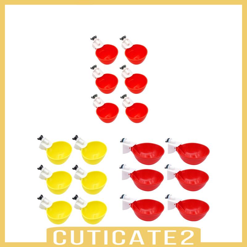 cuticate2-ถ้วยน้ําดื่ม-สําหรับไก่-กระต่าย-นกพิราบ-6-ชิ้น