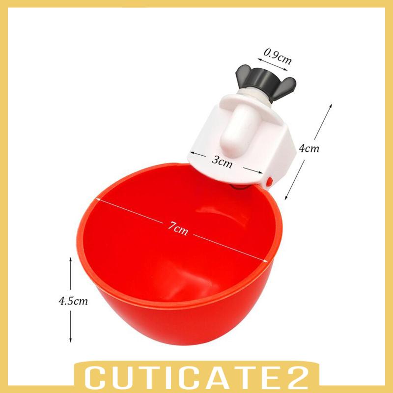 cuticate2-ถ้วยน้ําดื่ม-สําหรับไก่-กระต่าย-นกพิราบ-6-ชิ้น